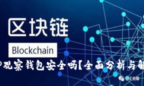 :TP观察钱包安全吗？全面分析与解答