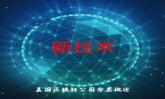 美国区块链公司分类概述