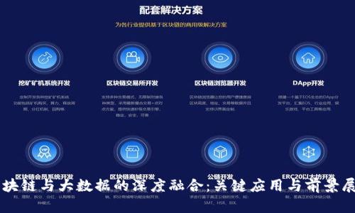 区块链与大数据的深度融合：关键应用与前景展望