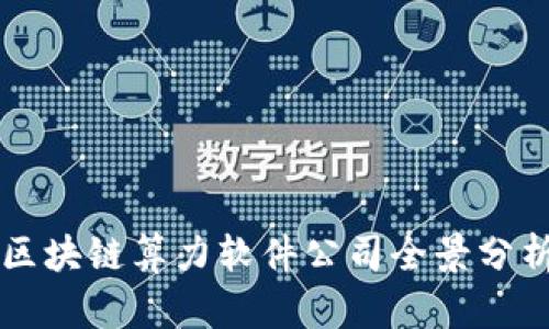 区块链算力软件公司全景分析