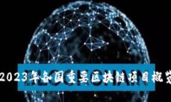 2023年各国重要区块链项目