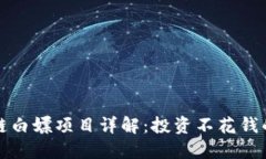 区块链白嫖项目详解：投