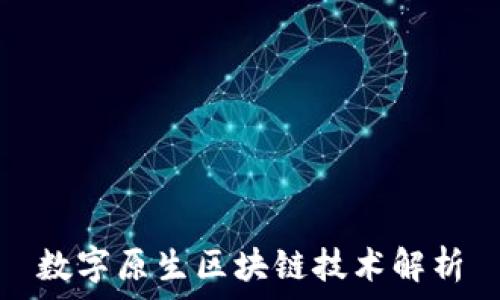   
数字原生区块链技术解析