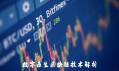   数字原生区块链技术解析