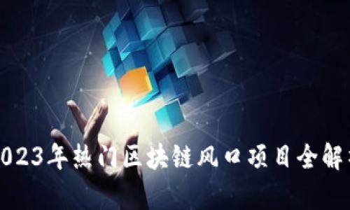 2023年热门区块链风口项目全解析