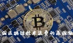 美国区块链技术浪费的原