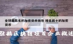 张掖区块链项目企业概述