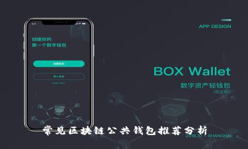 常见区块链公共钱包推荐分析