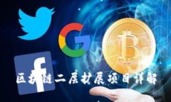 区块链二层扩展项目详解