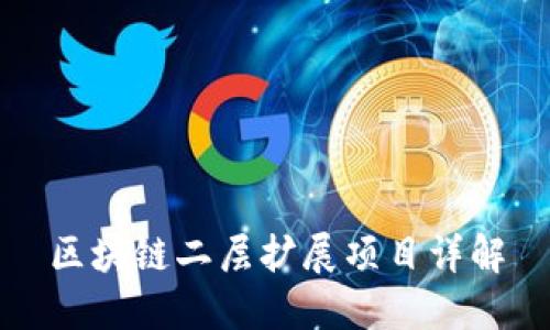 区块链二层扩展项目详解