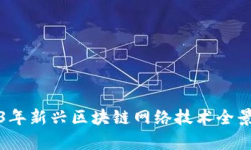 2023年新兴区块链网络技术全景分析
