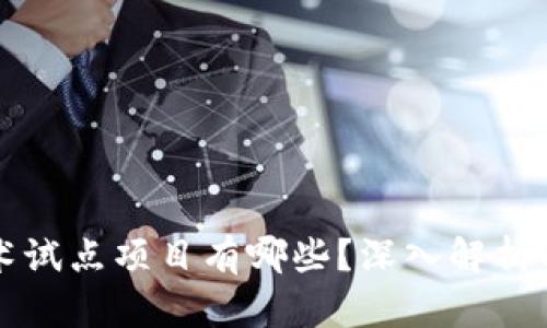区块链技术试点项目有哪些？深入解析与发展前景