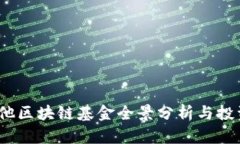  马耳他区块链基金全景分
