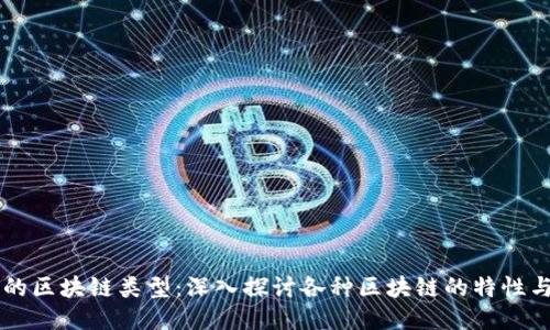 可靠的区块链类型：深入探讨各种区块链的特性与应用