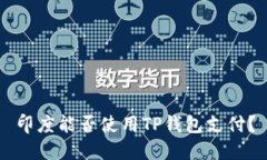 印度能否使用TP钱包支付？