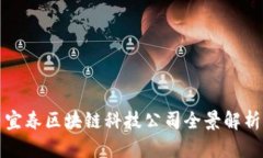 宜春区块链科技公司全景