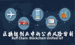 区块链创业中的公共风险