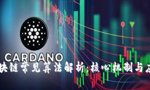 区块链常见算法解析：核心机制与应用