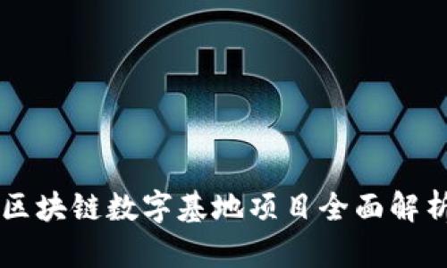 区块链数字基地项目全面解析