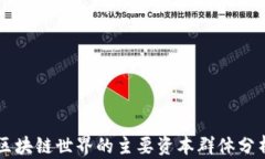 区块链世界的主要资本群