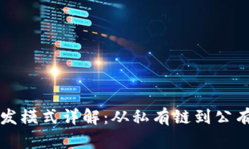 区块链开发模式详解：从私有链到公有链的选择