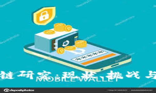 诈骗区块链研究：现状、挑战与未来发展