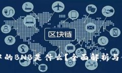 TP钱包中的BNB是什么？全面