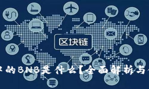 TP钱包中的BNB是什么？全面解析与使用指南