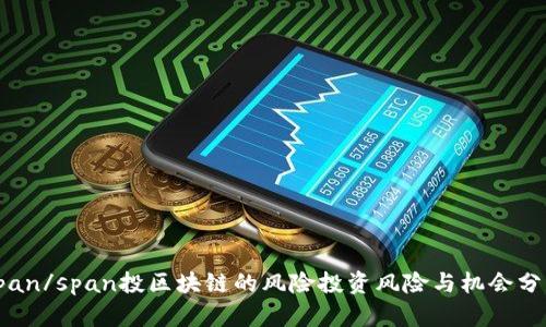 span/span投区块链的风险投资风险与机会分析