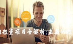 区块链投资项目全解析：