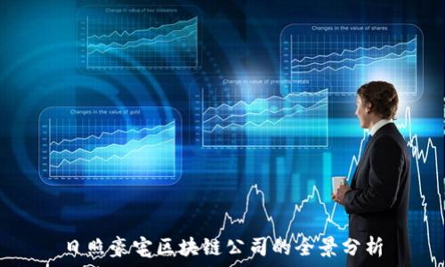   
日照豪宅区块链公司的全景分析