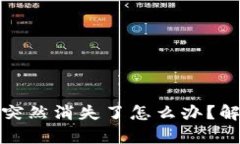 tp钱包里的币突然消失了怎