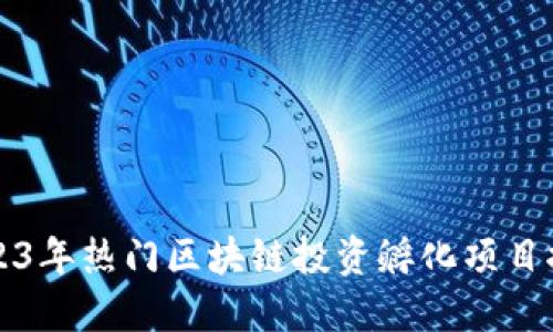2023年热门区块链投资孵化项目推荐