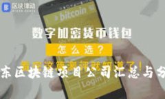 山东区块链项目公司汇总与分析
