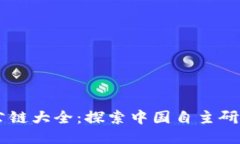 国产区块链公链大全：探索中国自主研发的公链