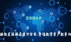 : 区块链美国骗局案例分析：警惕数字资产投资的