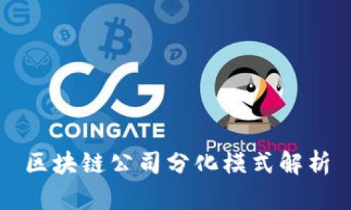 区块链公司分化模式解析