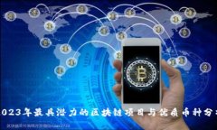 2023年最具潜力的区块链项目与优质币种分析