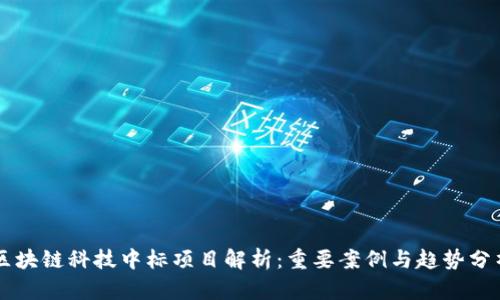 区块链科技中标项目解析：重要案例与趋势分析