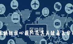 区块链核心团队及其关键角色分析