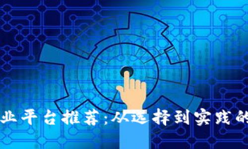 区块链创业平台推荐：从选择到实践的全面指南