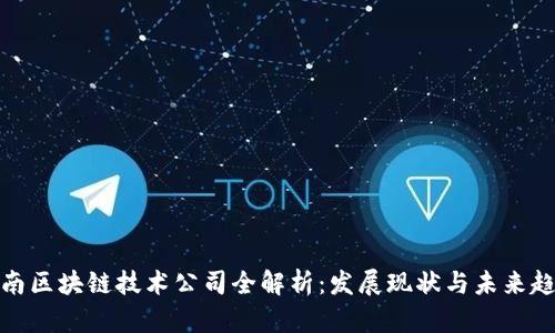 海南区块链技术公司全解析：发展现状与未来趋势