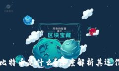   区块链中的比特币是什么