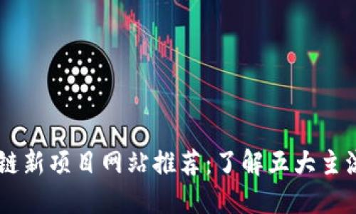 区块链新项目网站推荐：了解五大主流平台