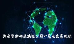 湖南资助的区块链公司一览及发展现状