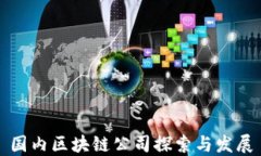 国内区块链公司探索与发