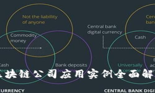 区块链公司应用实例全面解析