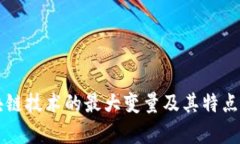 区块链技术的最大变量及