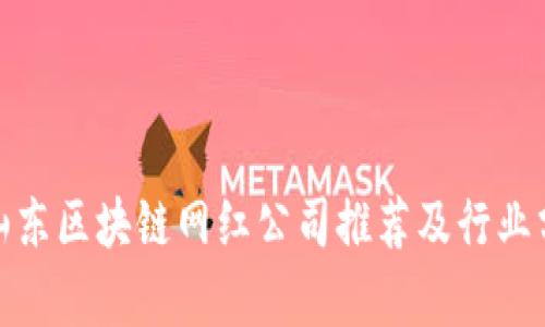 : 山东区块链网红公司推荐及行业分析