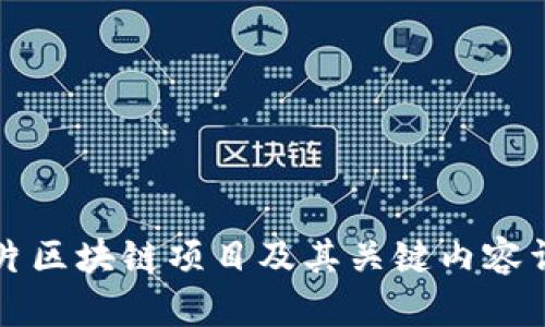 分片区块链项目及其关键内容详解